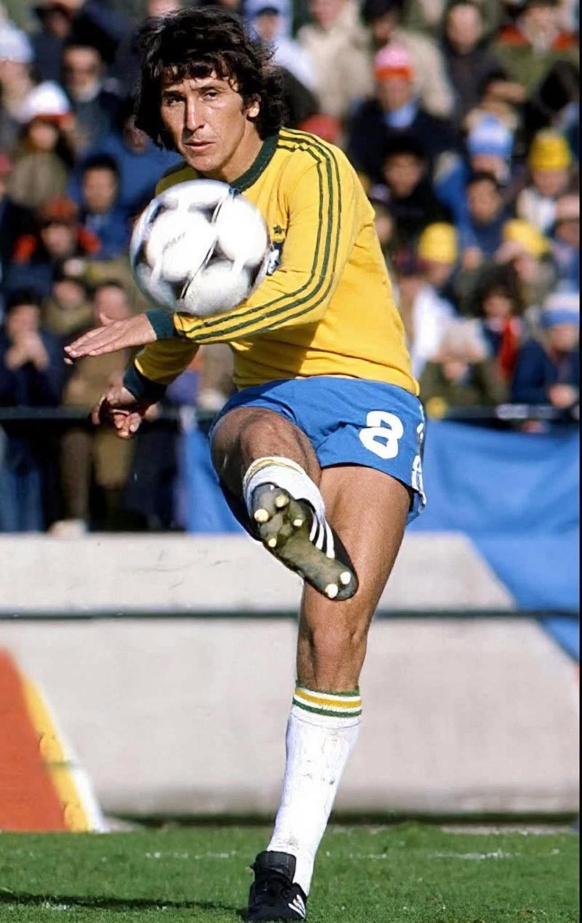 Zico